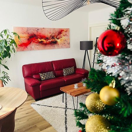 Appartement Cosy Et Lumineux Avec Parking Gratuit Кольмар Экстерьер фото