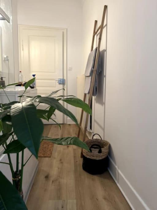 Appartement Cosy Et Lumineux Avec Parking Gratuit Кольмар Экстерьер фото