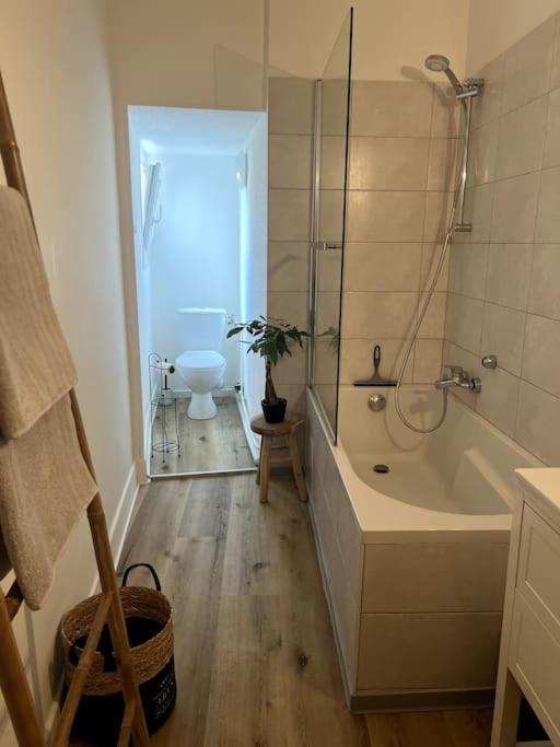 Appartement Cosy Et Lumineux Avec Parking Gratuit Кольмар Экстерьер фото